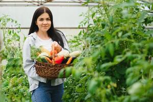 ung kvinna i tar vård av färsk vegetabiliska organisk i trä stil korg förbereda tjänande skörda förbi en söt Söt flicka i hydroponiska odla, växthus foto