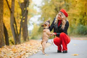 en eleganta ung flicka med lång ljus hår i solig glasögon går för en promenad med en liten mitten vovve en mops förbi de franska bulldogg i en parkera i vår i höst foto