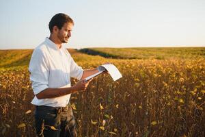 agronom inspekterar sojaböna beskära i jordbruks fält - agro begrepp - jordbrukare i sojaböna plantage på odla. foto