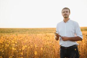 agronom inspekterar sojaböna beskära i jordbruks fält - agro begrepp - jordbrukare i sojaböna plantage på odla. foto