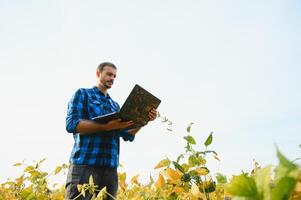 agronom inspekterande soja böna gröda växande i de bruka fält. lantbruk produktion begrepp. ung agronom undersöker sojaböna beskära på fält i sommar. jordbrukare på sojaböna fält foto