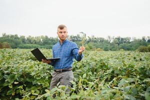 jordbrukare eller agronom granskning grön sojaböna växt i fält foto