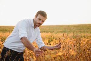 agronom inspekterande soja böna gröda växande i de bruka fält. lantbruk produktion begrepp. ung agronom undersöker sojaböna beskära på fält i sommar. jordbrukare på sojaböna fält foto