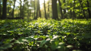 ai genererad solbelyst skog frodig grönska och brokig mönster fångad i närbild 50mm skott foto