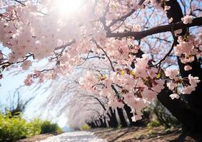 ai genererad friskhet av springtime natur skönhet i rosa körsbär blomma genererad förbi ai foto