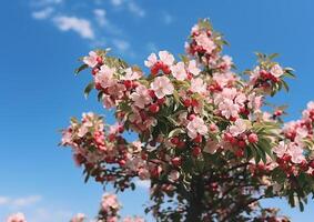 ai genererad färsk rosa blommar dekorera de grön träd i de sommar genererad förbi ai foto