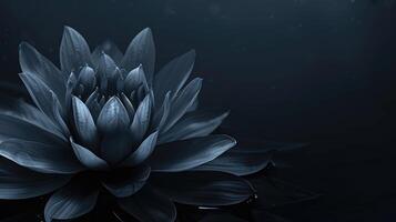 ai genererad zen lotus blomma bakgrund med riklig Plats för text, terar mörk färger för en lugnande atmosfär. ai genererad. foto