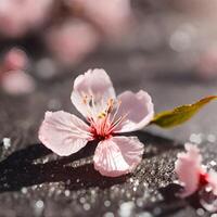 ai genererad körsbär blommar faller till de jord foto