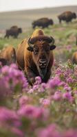 ai genererad makro se av bison löpning i de vår blommor fält. foto