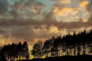 solnedgång. silhuett av träd. moln ovan de kväll tees panorama. foto