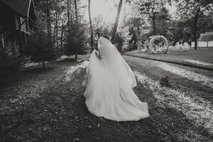 skön brud i en bröllop klänning med en lång tåg stående tillbaka i de skog. svart och vit Foto