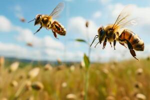 ai genererad två honungsbin ovan fält på solig sommar dag foto