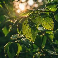 ai genererad solljus filter genom grön löv prickad med vatten droppar, gjutning strålar av ljus i en lugn skog scen foto