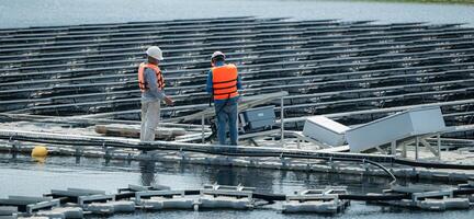 både av tekniker är för närvarande utvärdera och reparation de överföring terminaler för elektricitet genererad förbi sol- energi i en flytande sol- kraft systemet. foto