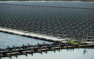 flytande sol- paneler i thailand, förse rena naturlig energi från solsken. foto