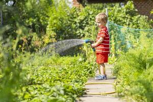barn vattning blommor och växter i trädgård. liten pojke trädgårdsarbete foto