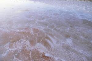 rosa och vit salt sjö yta. alger blomma. foto