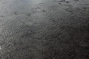 regndroppe cirklar på de sjö eller hav eller pöl. lynnig regnig bakgrund Foto