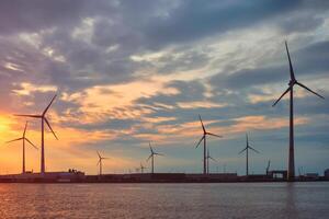 vind turbiner i antwerpen hamn på solnedgång. foto