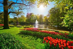 keukenhof blomma trädgård. Lisse, de nederländerna. foto