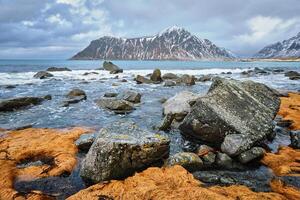 klippig kust av fjord i Norge foto