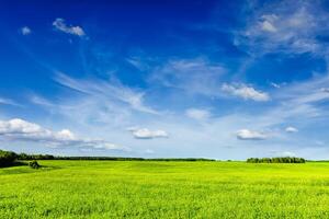 vår sommar grön fält landskap lanscape foto