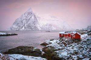 Hamnoy fiske by på lofoten öar, Norge foto