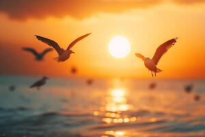 ai genererad seagulls och solnedgång, värld vilda djur och växter dag foto