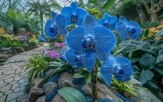 ai genererad blå orkide blomma foto