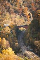 färgrik höst skog genom som de järnväg rutt passerar. färgrik oktober och november i de belgisk landsbygden. de mångfald av en hisnande natur foto