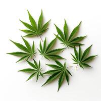 ai genererad cannabis växt isolerat på vit bakgrund. cannabis växa drift. Rättslig marijuana odling. foto