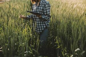 smart odla. jordbrukare med läsplatta i de fält. lantbruk, trädgårdsarbete eller ekologi begrepp. skörd. agro företag. foto