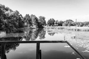 vackert stående gammal trä- bro över flod i ljus bakgrund foto