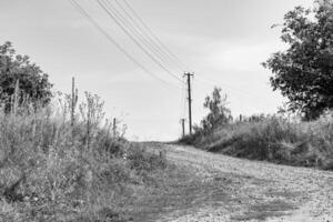 skön tömma asfalt väg i landsbygden på ljus bakgrund foto