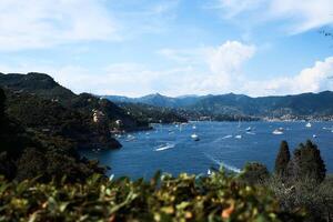 de se av de bukt och bergen på de kust av Italien med grönska i de förgrund foto