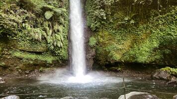 skön vattenfall, som heter curug sågare i de mitten av indonesien regnskog, asiatisk skog dold pärla foto