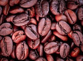 färsk kaffe bönor, torkades eller rostad för slipning till göra färsk kaffe, espresso. kaffe bönor, populär drycker. foto
