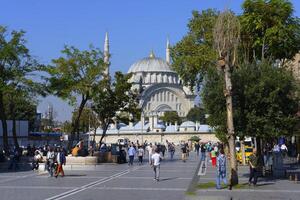 nuruosmaniye moské nära de stor basar, istanbul, Kalkon foto