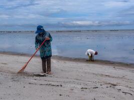 någon vem är bärande ut skräp rengöring aktiviteter runt om de strand, grön jorden, kust städa dag foto