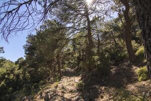 landskap och spår av de skön natur av de sierra de cazorla, jaen, Spanien. natur semester begrepp. foto