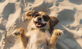 ai genererad Lycklig hund bär solglasögon avkopplande på de strand sand foto