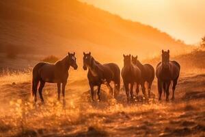 ai genererad en besättning av hästar på en gyllene fält på solnedgång, i en moln av damm i en värma ljus. foto