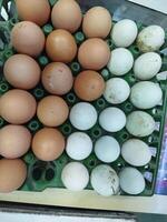 en stor siffra av ägg i en grön behållare foto