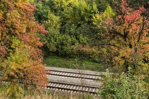 järnväg och skön höst träd. höst landskap. foto