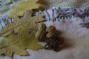 värma halsdukar, gul löv och valnötter. höst bakgrund. foto