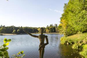 dummy för teckning mot en skog sjö landskap. foto