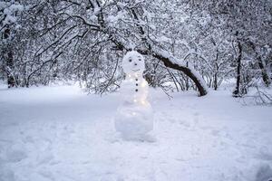 en söt snögubbe i de vinter- parkera. foto