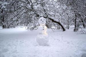 en söt snögubbe i de vinter- parkera. foto