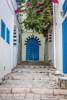 sidi bou sa - typisk byggnad med vit väggar, blå dörrar och fönster, tunisien foto