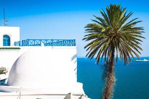 Kafé med skön se på sidi bou sa hamn foto